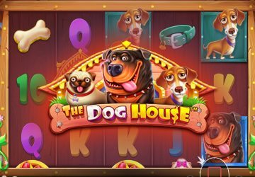 NOVOMATIC - игровой автомат онлайн от Various с RTP 96.57%